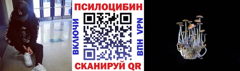 Галлюциногенные грибы Psilocybine cubensis  как найти закладки  Петровск-Забайкальский 